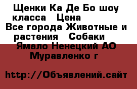 Щенки Ка Де Бо шоу класса › Цена ­ 60 000 - Все города Животные и растения » Собаки   . Ямало-Ненецкий АО,Муравленко г.